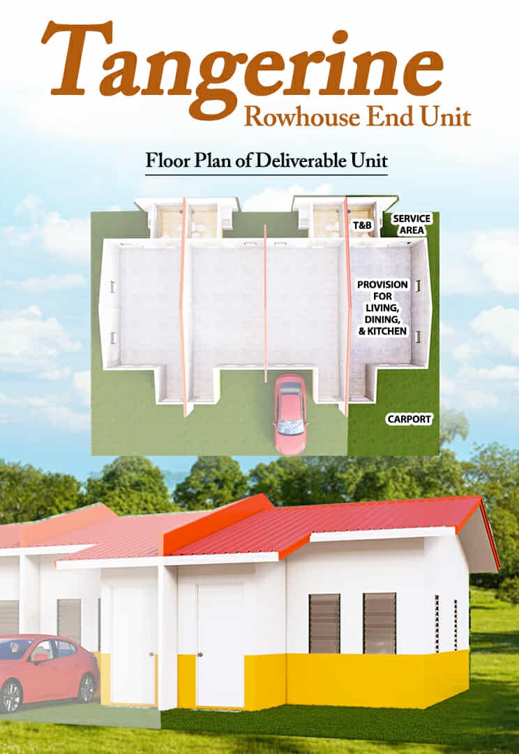 Naic Country Homes Phase 2 - Tangerine Row House End Unit